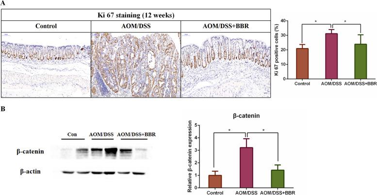 https://cdn.ncbi.nlm.nih.gov/pmc/blobs/cb31/9123795/9549e4ed229a/12885_2022_9635_Fig2_HTML.jpg