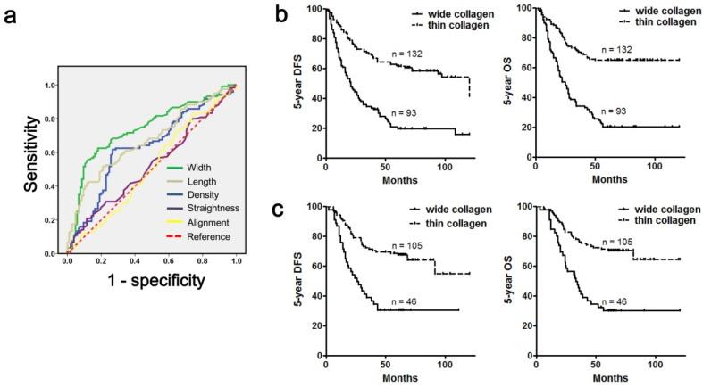 https://cdn.ncbi.nlm.nih.gov/pmc/blobs/cb33/5479253/30944629a1a9/jcav08p1466g006.jpg