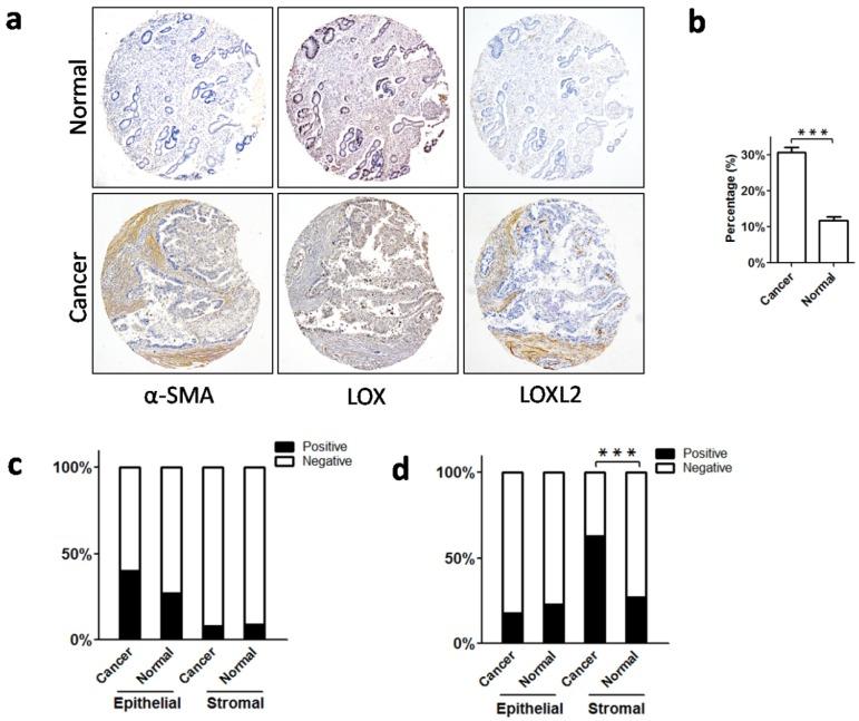 https://cdn.ncbi.nlm.nih.gov/pmc/blobs/cb33/5479253/50fafc5de375/jcav08p1466g004.jpg