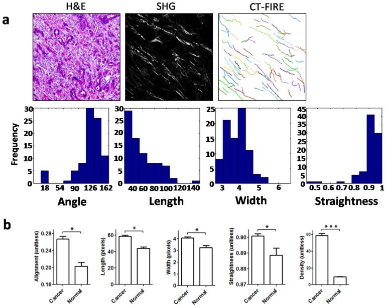 https://cdn.ncbi.nlm.nih.gov/pmc/blobs/cb33/5479253/ca023f9a3c9c/jcav08p1466g005.jpg