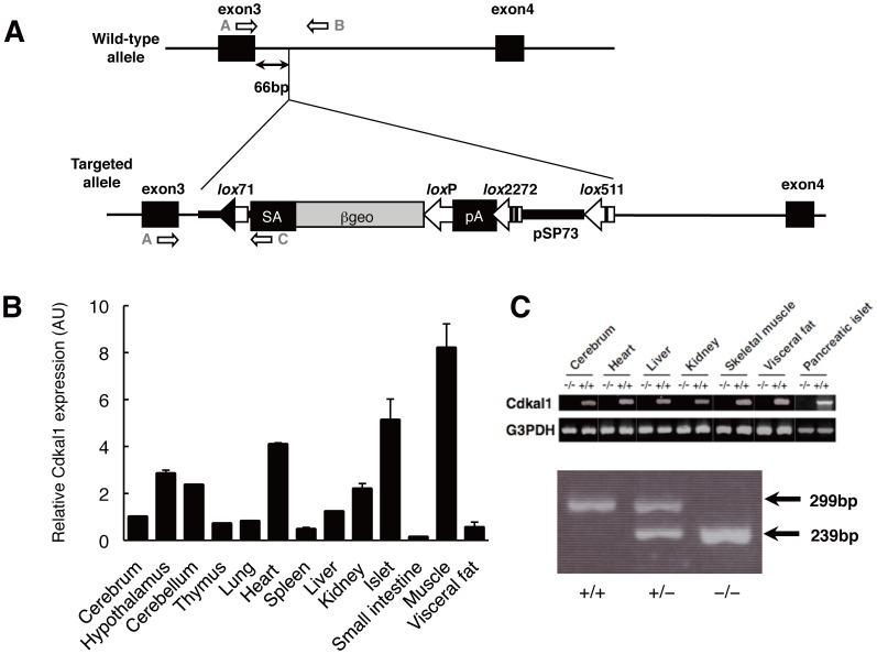 https://cdn.ncbi.nlm.nih.gov/pmc/blobs/cb35/3500257/e5c6185941bf/pone.0049055.g001.jpg