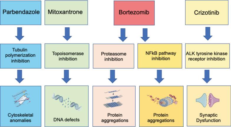 https://cdn.ncbi.nlm.nih.gov/pmc/blobs/cb36/10199618/a0a34e5cd0d4/12967_2023_4192_Fig8_HTML.jpg