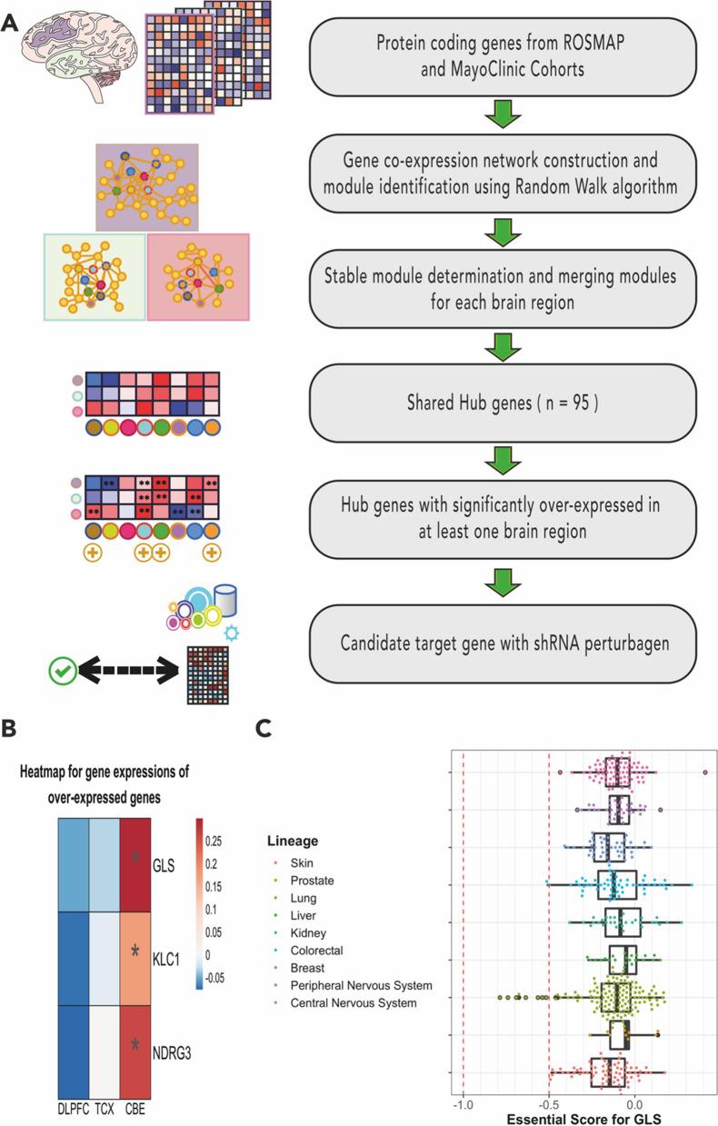 https://cdn.ncbi.nlm.nih.gov/pmc/blobs/cb36/10199618/cf4190b72454/12967_2023_4192_Fig1_HTML.jpg