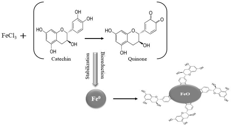 https://cdn.ncbi.nlm.nih.gov/pmc/blobs/cb38/9370615/6e99a8af0fdc/molecules-27-04931-sch001.jpg