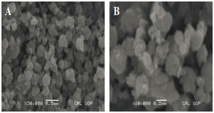 https://cdn.ncbi.nlm.nih.gov/pmc/blobs/cb38/9370615/7c206ecc326f/molecules-27-04931-g004.jpg