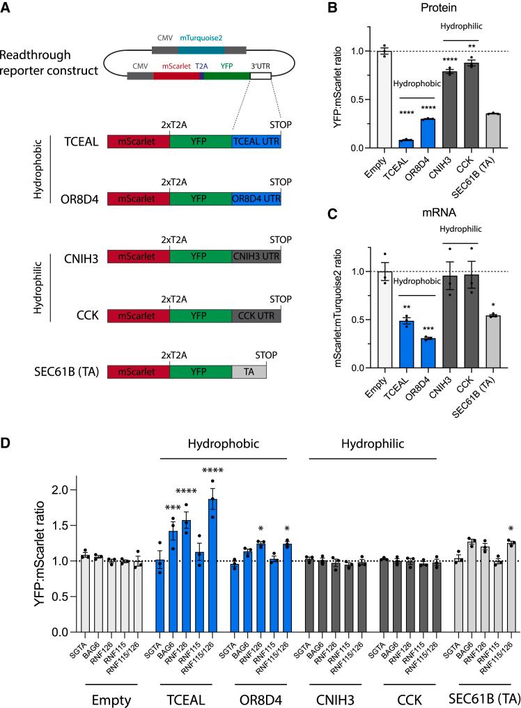 https://cdn.ncbi.nlm.nih.gov/pmc/blobs/cb3a/10364623/36964c967667/gr4.jpg