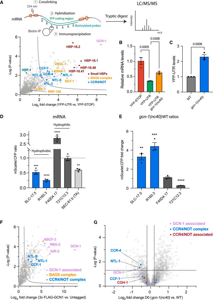 https://cdn.ncbi.nlm.nih.gov/pmc/blobs/cb3a/10364623/52bdb07931de/gr3.jpg