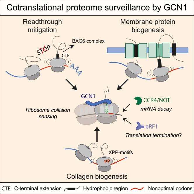 https://cdn.ncbi.nlm.nih.gov/pmc/blobs/cb3a/10364623/6485a6d567d7/fx1.jpg
