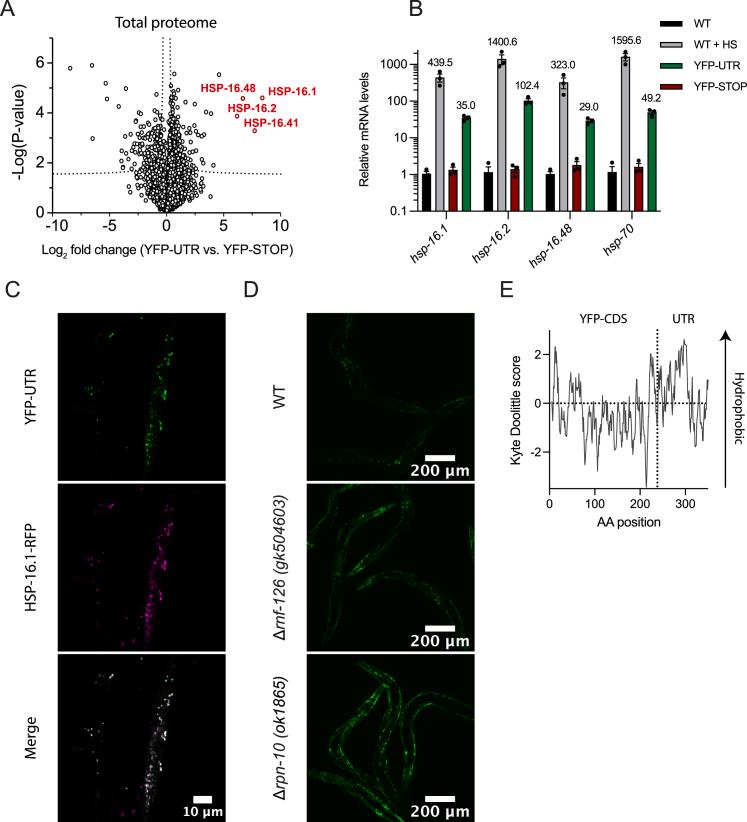 https://cdn.ncbi.nlm.nih.gov/pmc/blobs/cb3a/10364623/94ce3f872805/figs1.jpg