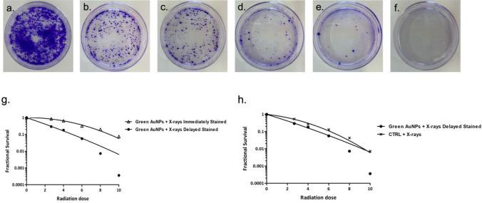 https://cdn.ncbi.nlm.nih.gov/pmc/blobs/cb3b/11735827/15231b743f4e/11671_2025_4186_Fig9_HTML.jpg
