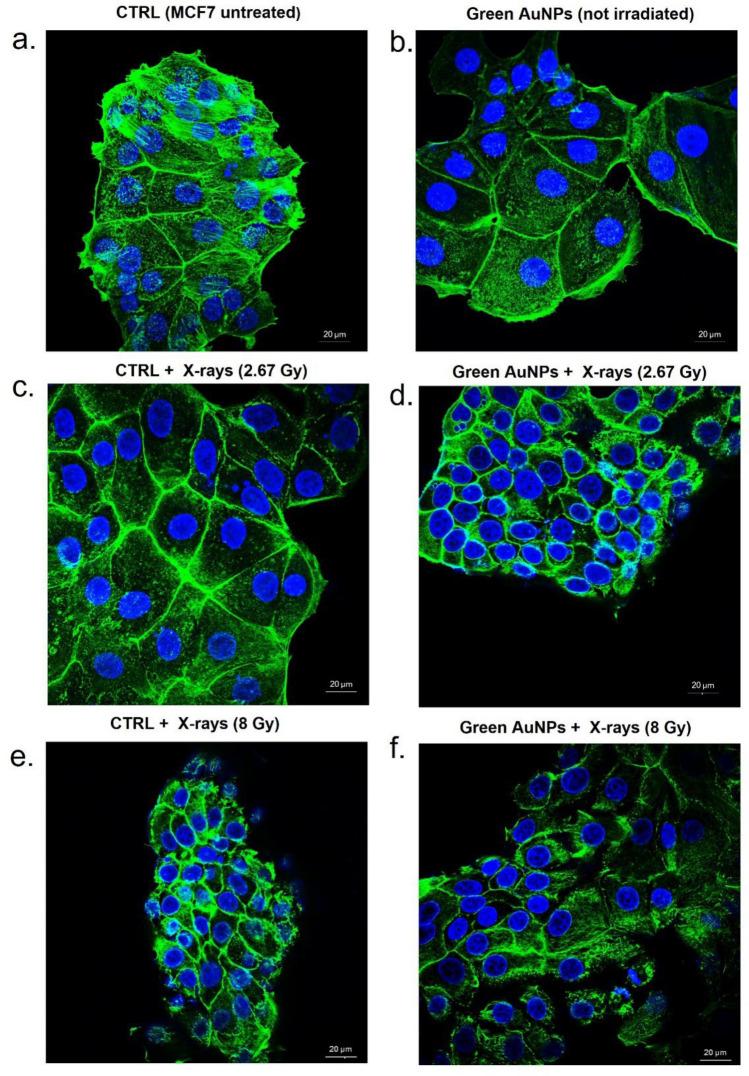 https://cdn.ncbi.nlm.nih.gov/pmc/blobs/cb3b/11735827/2fbd435cf083/11671_2025_4186_Fig7_HTML.jpg