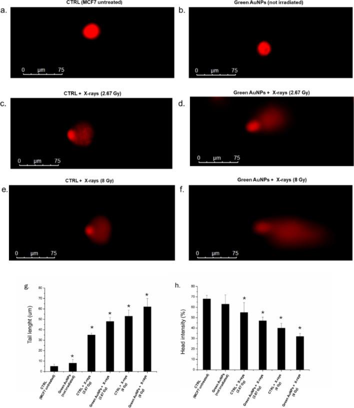 https://cdn.ncbi.nlm.nih.gov/pmc/blobs/cb3b/11735827/49e237f4e26e/11671_2025_4186_Fig10_HTML.jpg