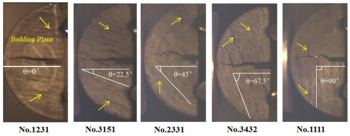 https://cdn.ncbi.nlm.nih.gov/pmc/blobs/cb3b/8224884/fc2dba574af3/pone.0247908.g004.jpg