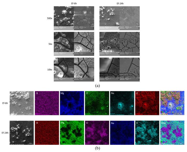 https://cdn.ncbi.nlm.nih.gov/pmc/blobs/cb3b/8512174/220c3255ea7a/molecules-26-06045-g006.jpg