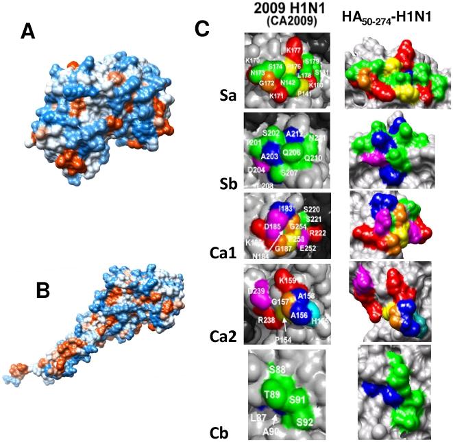 https://cdn.ncbi.nlm.nih.gov/pmc/blobs/cb3c/2908544/cf76bd70c3bf/pone.0011694.g002.jpg