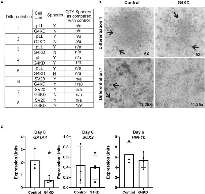https://cdn.ncbi.nlm.nih.gov/pmc/blobs/cb3c/7042400/1f9e01339dbd/fmed-07-00044-g0003.jpg