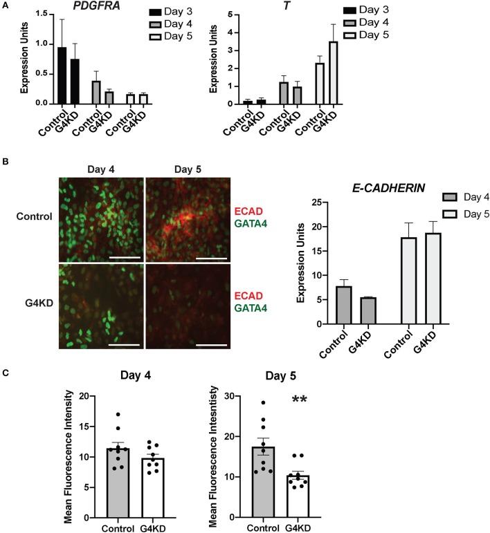 https://cdn.ncbi.nlm.nih.gov/pmc/blobs/cb3c/7042400/315dab178c06/fmed-07-00044-g0004.jpg