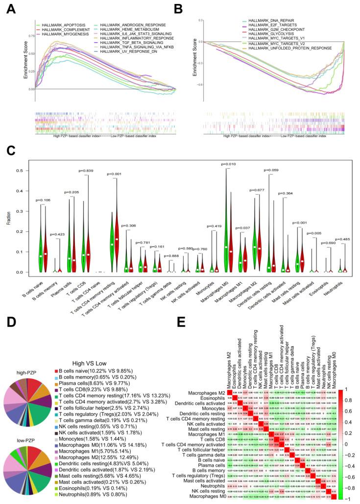 https://cdn.ncbi.nlm.nih.gov/pmc/blobs/cb41/10377424/1d29985795b0/biomedicines-11-01978-g003.jpg