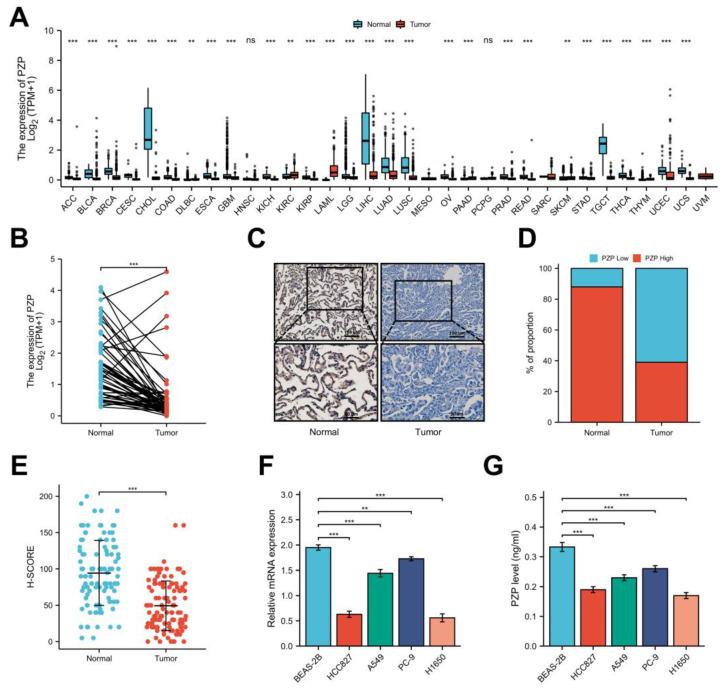 https://cdn.ncbi.nlm.nih.gov/pmc/blobs/cb41/10377424/ae8b5518c9df/biomedicines-11-01978-g001.jpg