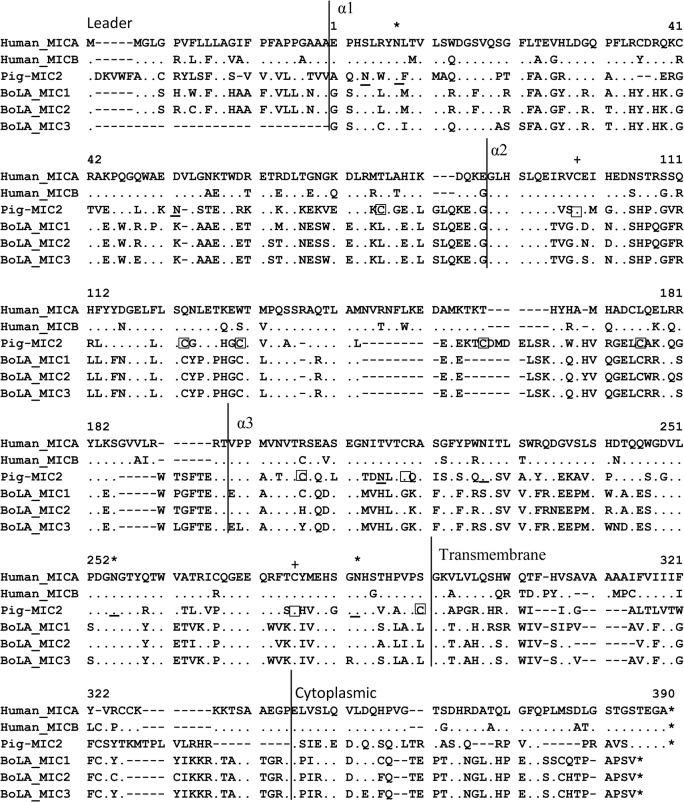 https://cdn.ncbi.nlm.nih.gov/pmc/blobs/cb45/4549063/62494abf42eb/pone.0135922.g002.jpg