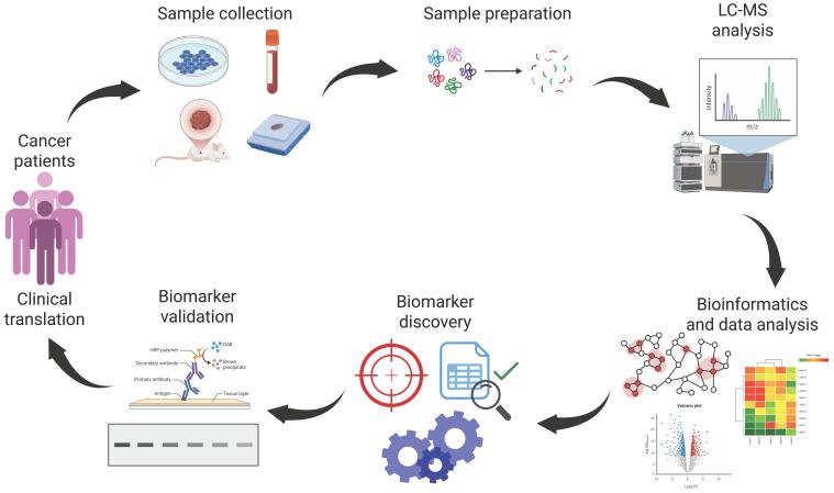 https://cdn.ncbi.nlm.nih.gov/pmc/blobs/cb48/12196862/8ffa9a0d9fbb/proteomes-13-00025-g002.jpg