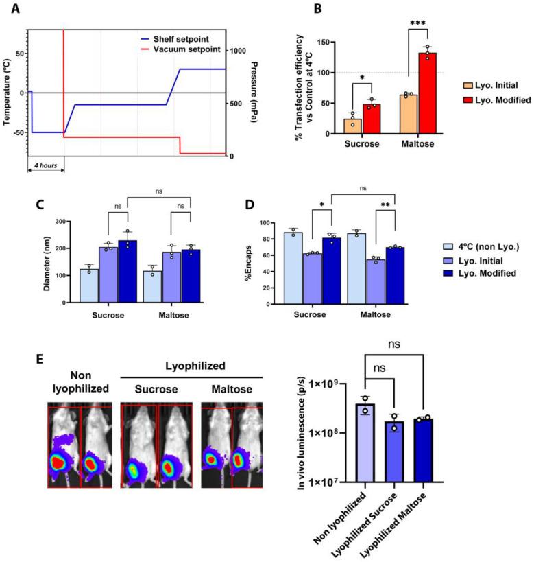 https://cdn.ncbi.nlm.nih.gov/pmc/blobs/cb49/11476828/9190773633a4/ijms-25-10603-g002.jpg