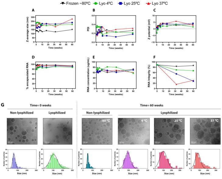 https://cdn.ncbi.nlm.nih.gov/pmc/blobs/cb49/11476828/fcec8180aff8/ijms-25-10603-g003.jpg