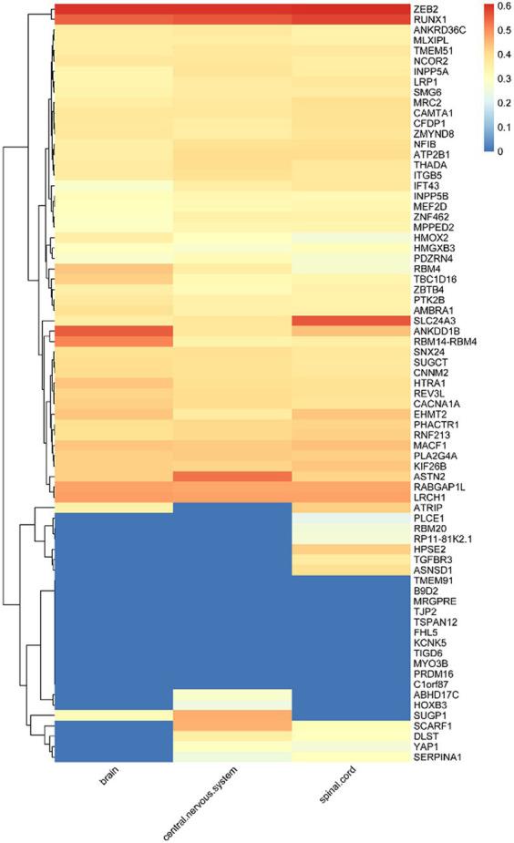 https://cdn.ncbi.nlm.nih.gov/pmc/blobs/cb4a/10879407/81c48e4ae0b9/fneur-15-1301208-g002.jpg
