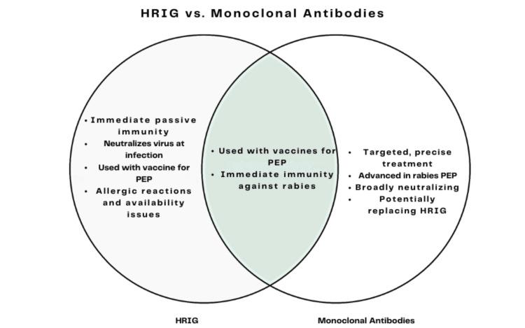 https://cdn.ncbi.nlm.nih.gov/pmc/blobs/cb4b/11248466/58c512211223/cureus-0016-00000062429-i02.jpg