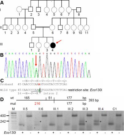 https://cdn.ncbi.nlm.nih.gov/pmc/blobs/cb4b/2956670/fac031fa5ad4/mv-v16-1837-f5.jpg