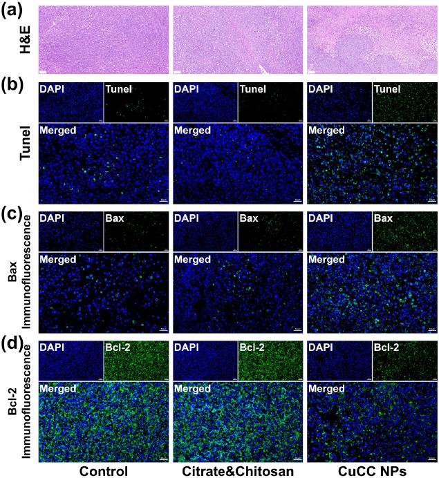 https://cdn.ncbi.nlm.nih.gov/pmc/blobs/cb4c/10883013/edac58de0398/ao3c09619_0006.jpg