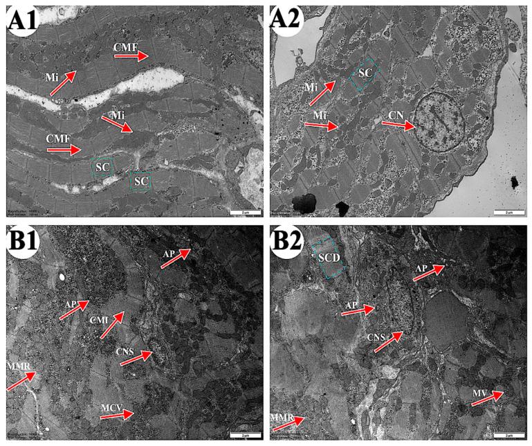 https://cdn.ncbi.nlm.nih.gov/pmc/blobs/cb4d/12195614/f2ba11063a01/metabolites-15-00391-g002.jpg