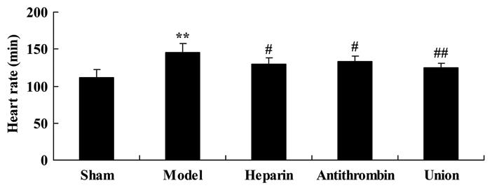 https://cdn.ncbi.nlm.nih.gov/pmc/blobs/cb4d/5865868/db86eeedfbc0/mmr-16-05-7375-g02.jpg