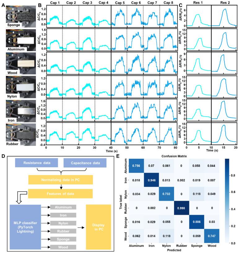 https://cdn.ncbi.nlm.nih.gov/pmc/blobs/cb4e/11673121/1f49197ad119/bioengineering-11-01211-g005.jpg