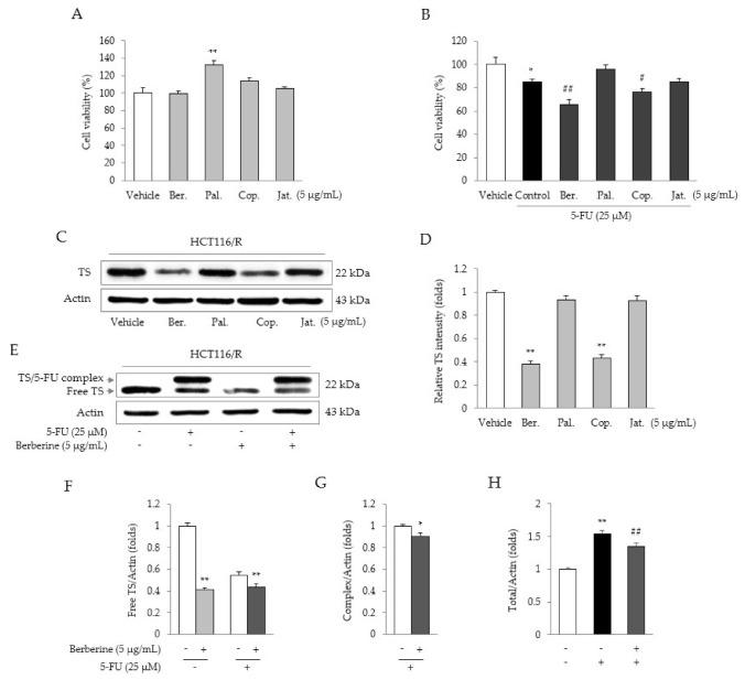https://cdn.ncbi.nlm.nih.gov/pmc/blobs/cb4e/8036817/3c9081d50b5a/molecules-26-01856-g005.jpg