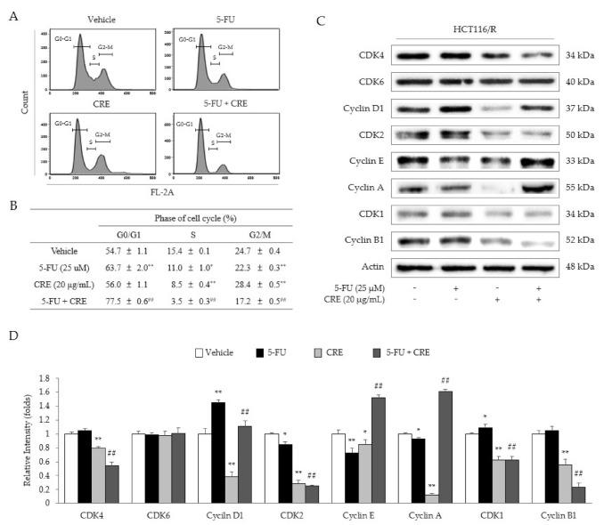 https://cdn.ncbi.nlm.nih.gov/pmc/blobs/cb4e/8036817/457567074cfb/molecules-26-01856-g004.jpg