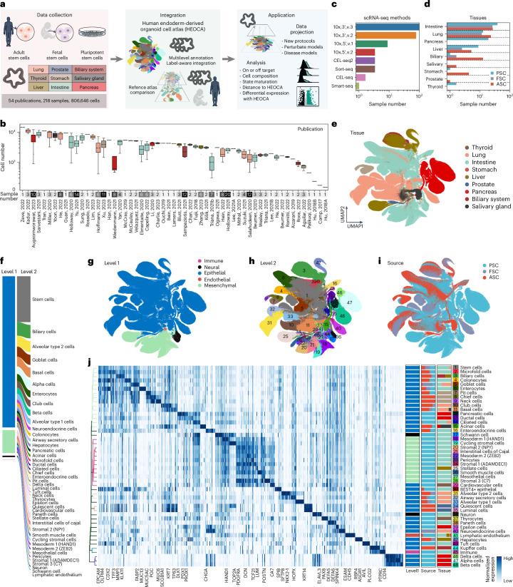 https://cdn.ncbi.nlm.nih.gov/pmc/blobs/cb4f/12081310/47a8c73a8c37/41588_2025_2182_Fig1_HTML.jpg