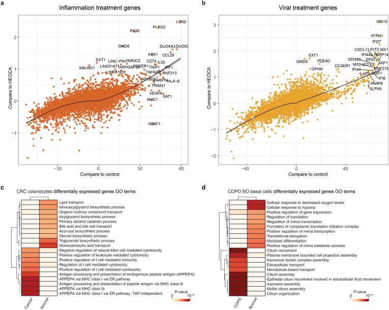 https://cdn.ncbi.nlm.nih.gov/pmc/blobs/cb4f/12081310/ac0632f54536/41588_2025_2182_Fig16_ESM.jpg
