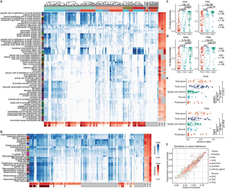 https://cdn.ncbi.nlm.nih.gov/pmc/blobs/cb4f/12081310/b23a8443deb6/41588_2025_2182_Fig12_ESM.jpg