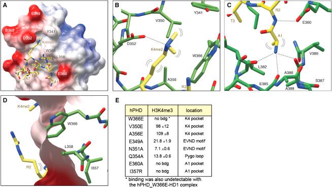 https://cdn.ncbi.nlm.nih.gov/pmc/blobs/cb50/2726290/501293f9e711/gr4.jpg