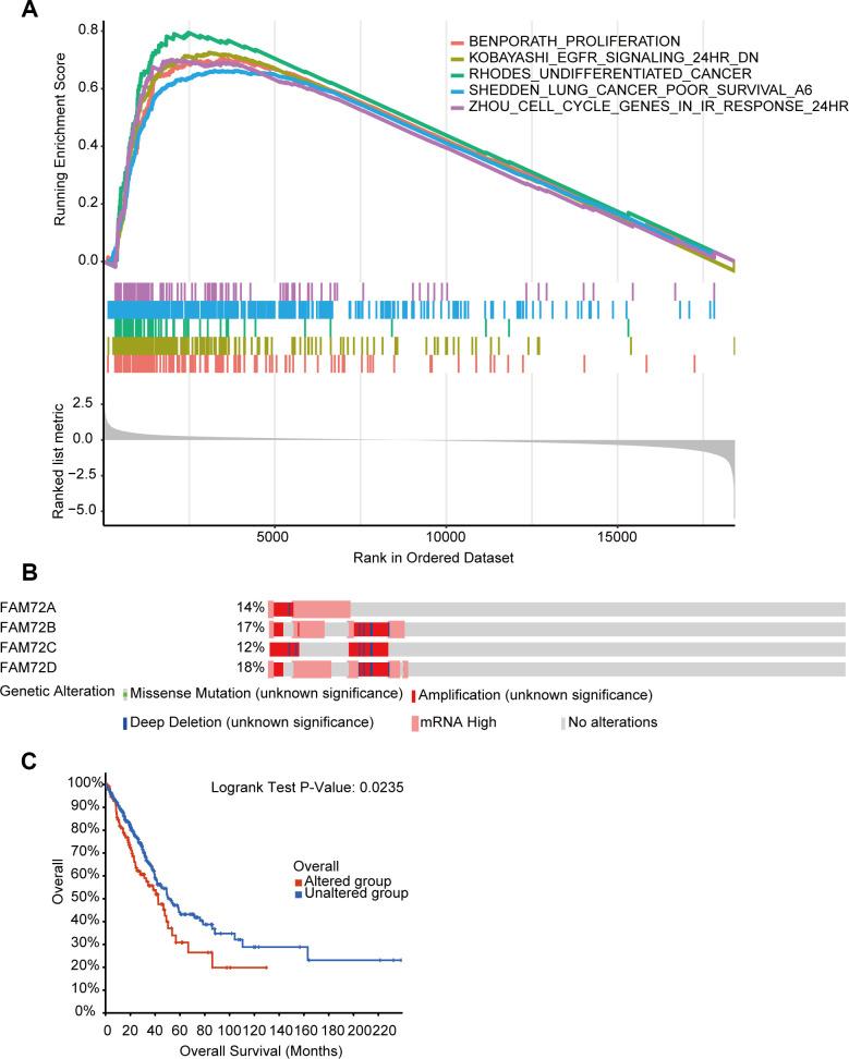 https://cdn.ncbi.nlm.nih.gov/pmc/blobs/cb50/8034972/a46fd9a5b3c3/aging-13-202625-g008.jpg