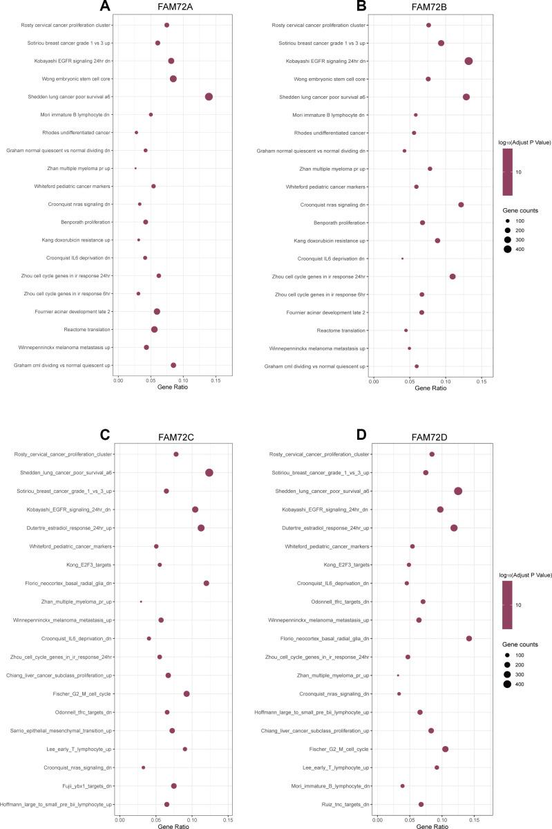 https://cdn.ncbi.nlm.nih.gov/pmc/blobs/cb50/8034972/cdec787e4a54/aging-13-202625-g007.jpg