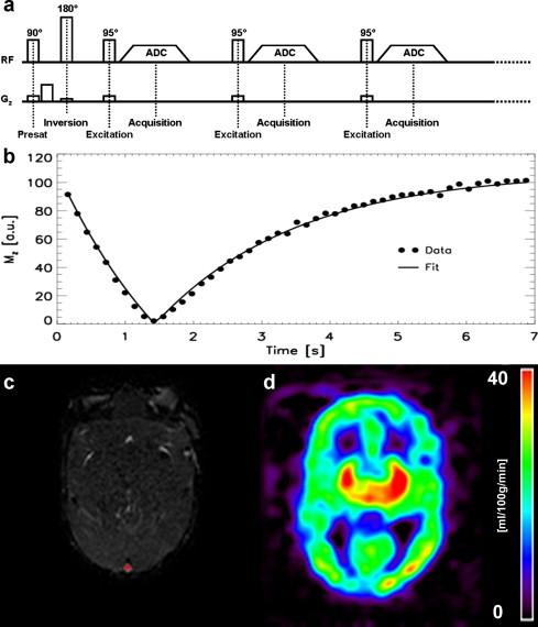 https://cdn.ncbi.nlm.nih.gov/pmc/blobs/cb52/3984444/2e0d263727d6/gr1.jpg