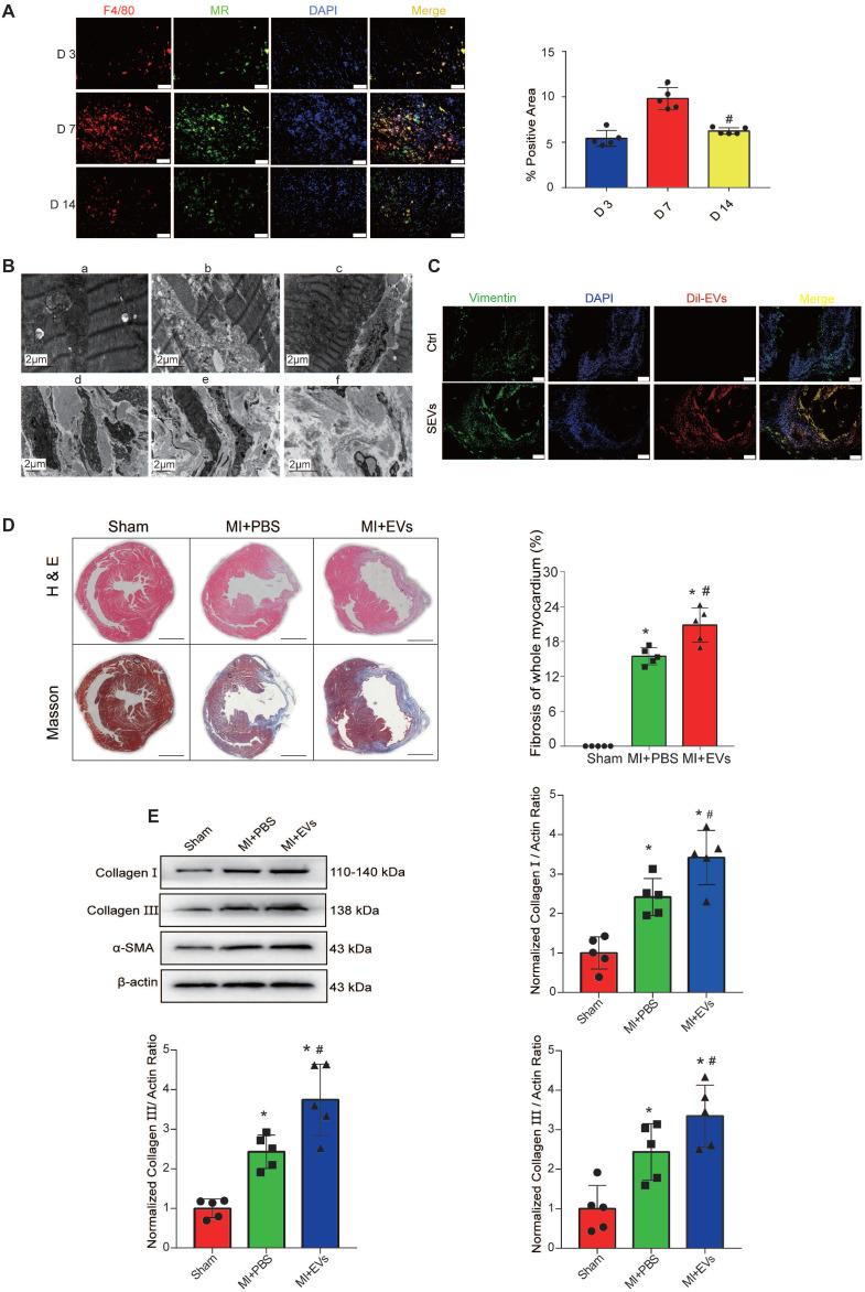 https://cdn.ncbi.nlm.nih.gov/pmc/blobs/cb52/8120198/4321c170583f/thnov11p6315g002.jpg