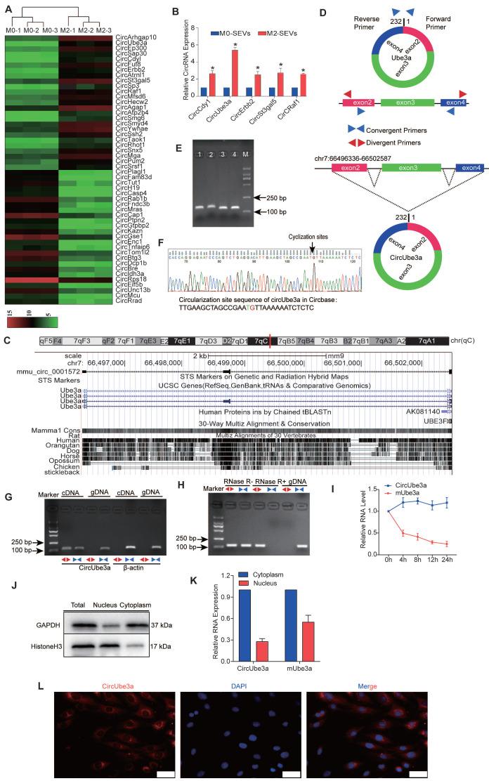 https://cdn.ncbi.nlm.nih.gov/pmc/blobs/cb52/8120198/7f79d0650f77/thnov11p6315g004.jpg
