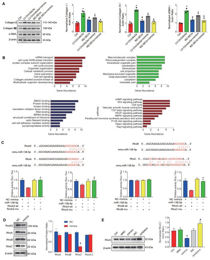 https://cdn.ncbi.nlm.nih.gov/pmc/blobs/cb52/8120198/ad06371a830d/thnov11p6315g007.jpg