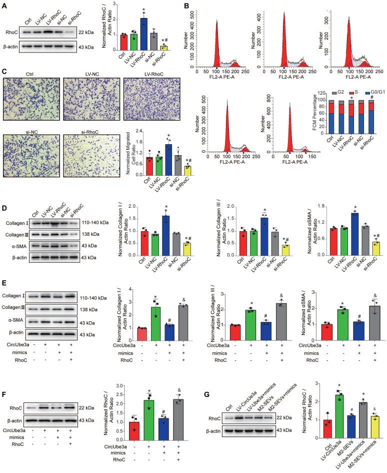 https://cdn.ncbi.nlm.nih.gov/pmc/blobs/cb52/8120198/ae66accf3035/thnov11p6315g008.jpg