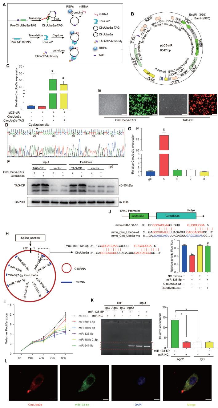 https://cdn.ncbi.nlm.nih.gov/pmc/blobs/cb52/8120198/fcd1c4340f01/thnov11p6315g006.jpg