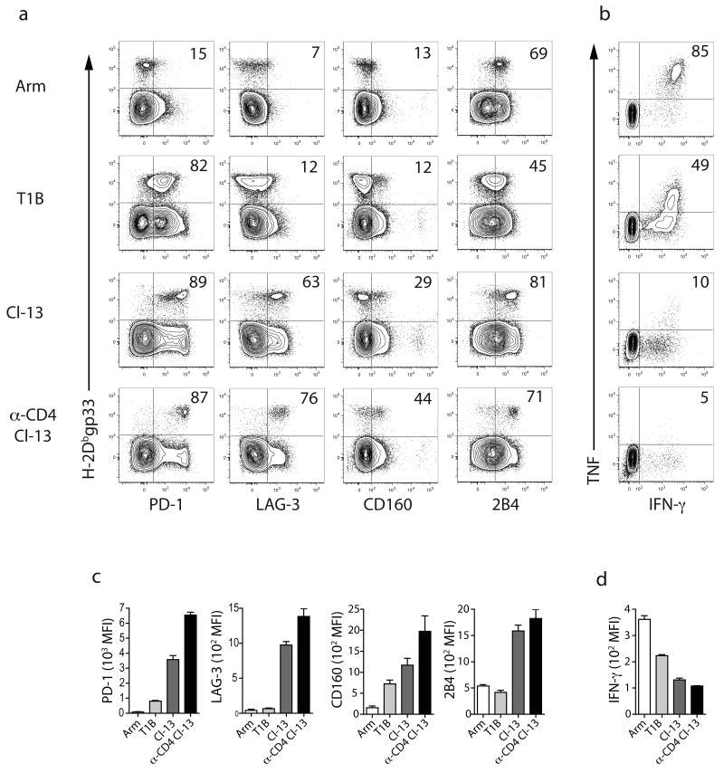https://cdn.ncbi.nlm.nih.gov/pmc/blobs/cb53/2605166/4be4544d0b2c/nihms75276f3.jpg