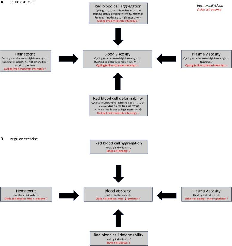 https://cdn.ncbi.nlm.nih.gov/pmc/blobs/cb54/6842957/c3ff0e6c1c13/fphys-10-01329-g002.jpg